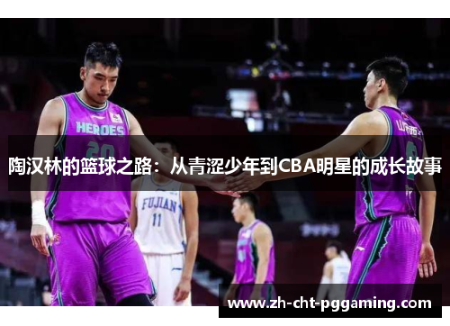 陶汉林的篮球之路：从青涩少年到CBA明星的成长故事